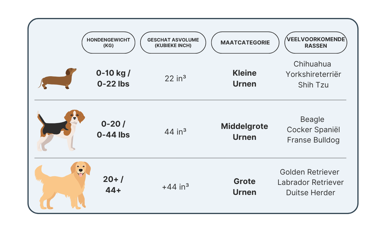 Maattabel voor hondenurnen met kleine, middelgrote en grote categorieën op basis van gewicht, asvolume en veelvoorkomende hondenrassen.